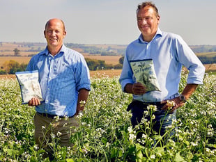 Wye Valley crisp-making farmer’s polytunnel bid crunched