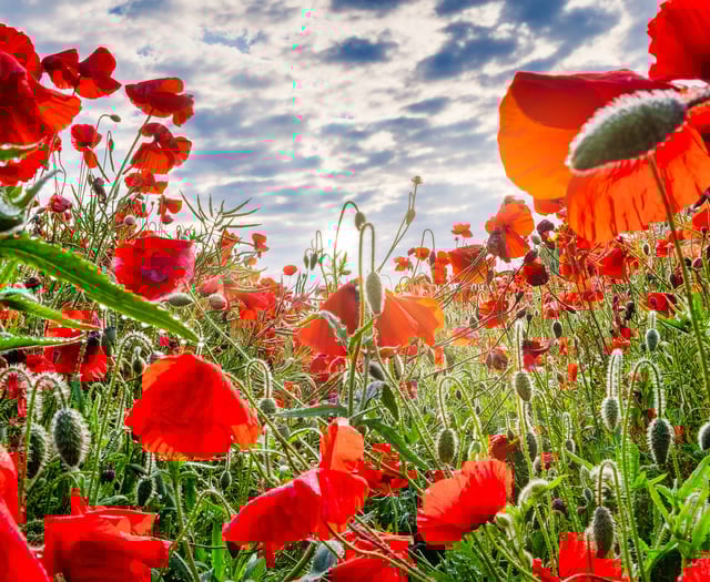 John Kyrle students mark Remembrance