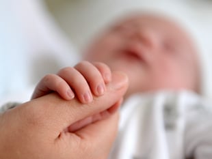 Fertility rate rises in the Forest of Dean