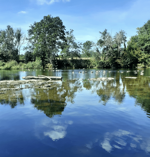 River Action calls for clarity on government plan to clean up Wye