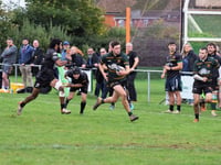 Cheltenham Tigers given a mauling by Newent RFC