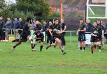 Cheltenham Tigers given a mauling by Newent RFC