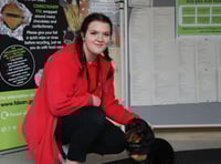 Wardens are ‘gold’ for dog care for ninth year
