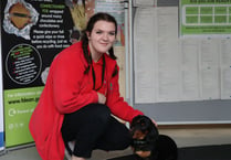 Wardens are ‘gold’ for dog care for ninth year