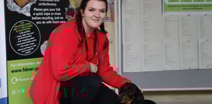 Wardens are ‘gold’ for dog care for ninth year