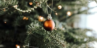 Lynne Albutt shares advice for looking after your Christmas tree