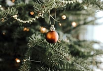 Lynne Albutt shares advice for looking after your Christmas tree