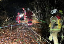 Woman rescued after fall on Tidenham path