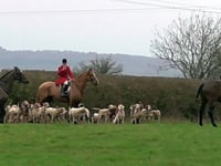 Man boasted of illegal fox hunt in Hartpury, court hears