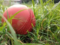 Huntley Women's Cricket triumph against Tewkesbury in T20 league