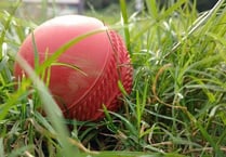 Huntley Women's Cricket triumph against Tewkesbury in T20 league