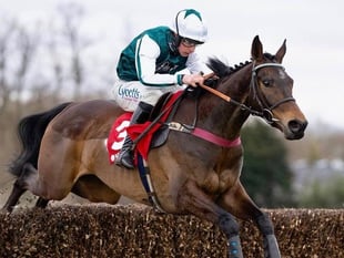 Gold Cup blow for Venetia’s yard