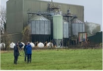 Firm has ‘no intention of protecting environment’, say activists