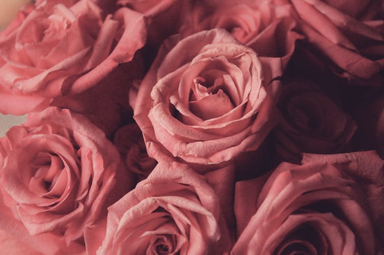 Roses