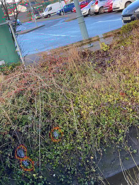 Litter at Morrisons in Ross-on-Wye