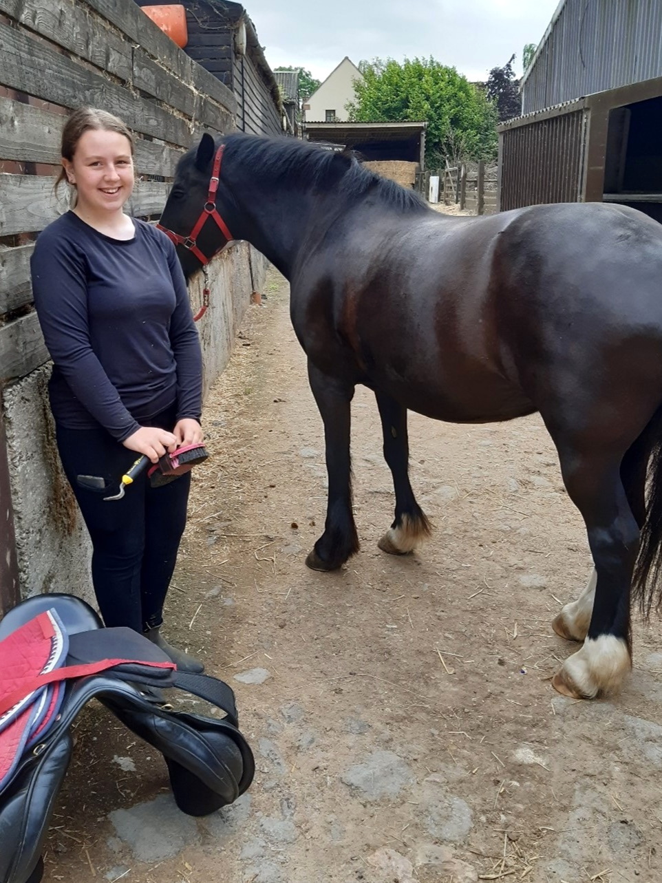 Ffion canters towards success at Severnvale