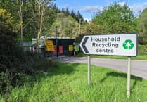 Council looks at charges
for 'excess' DIY waste