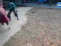 Farrier beat horse with a hammer in brutal attack