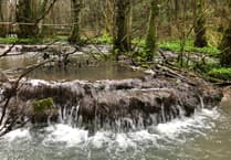 Damage fears for protected brook over holiday lodges plan
