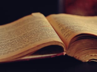 Historical Society sheds light on the history of Ariconium
