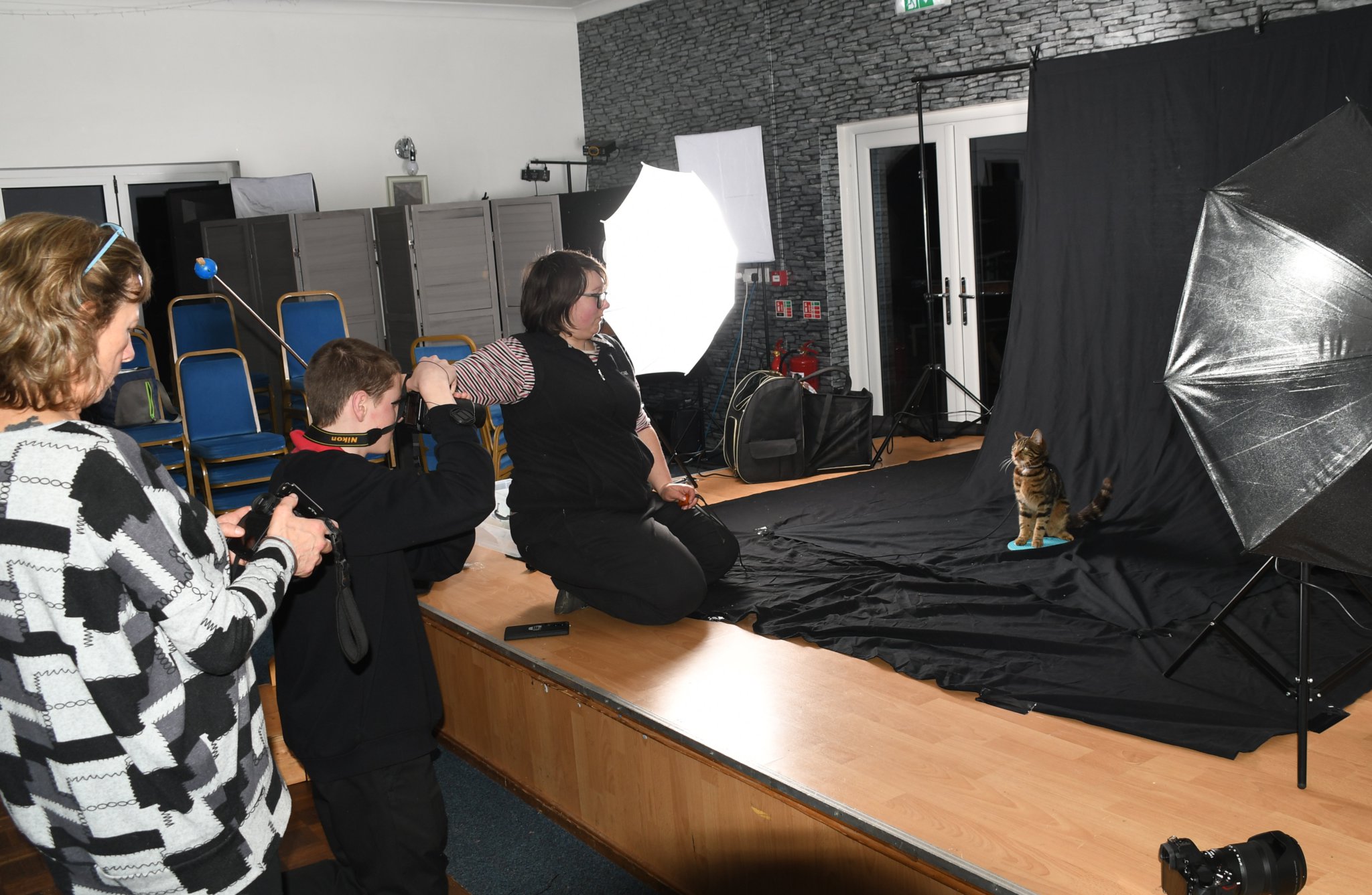 Four-legged stars strike 'purrfect' poses for Forest photographers