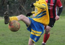 Week of two halves for Kingfishers
