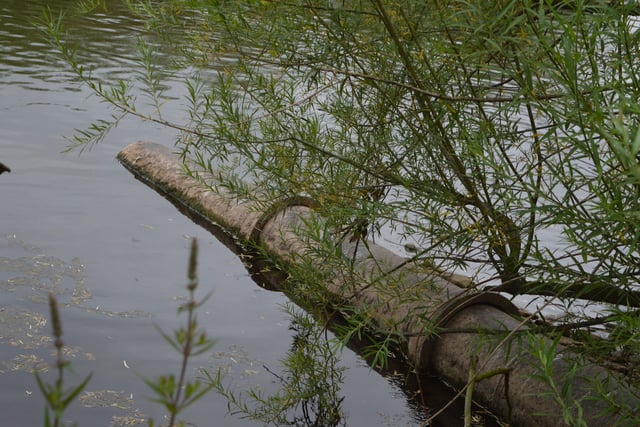 Wye Valley and Forest MPs vote to block sewage discharge bill