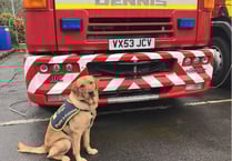 Eleven-month-old guide dog met fire engine that inspired his name