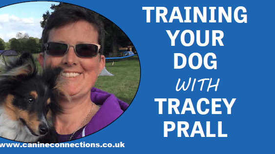 Training your dog with Tracey Prall 