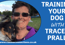 Training Your Dog with Tracey Prall