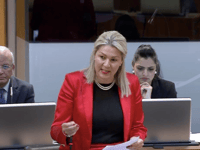 Shadow role blow for MS amid expenses probe