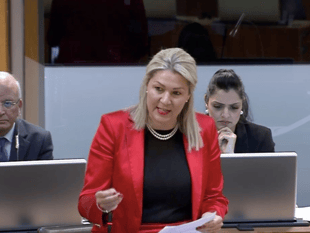 Shadow role blow for MS amid expenses probe