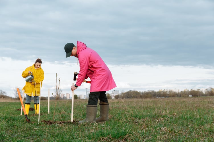Tree planting