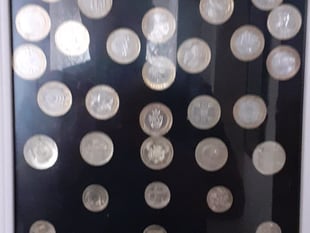 Coppers on the hunt for stolen coin collection