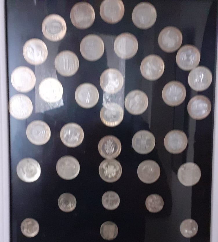 Photograph of the frame holding the coin collection