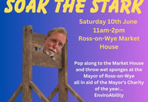 Mayor invites residents to 'Soak the Stark' in fun charity event