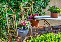 Gardening with Lynne Allbutt