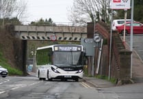 Daffodil Line springs into action to blossom with punctuality