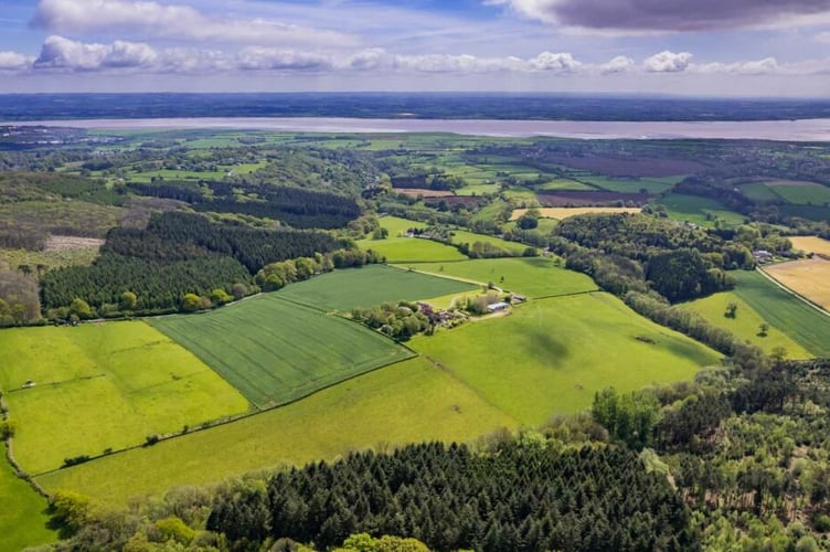 glebe farm
