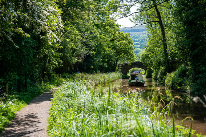 Green Flag flying on the Monmouthshire & Brecon Canal