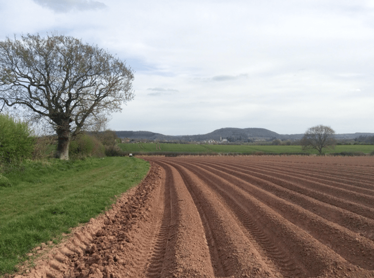 Ross and District Walking Group