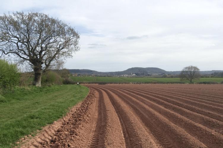 Ross and District Walking Group