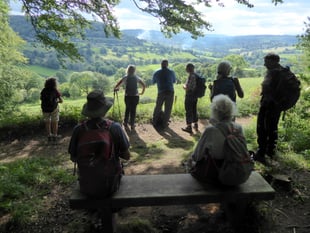 Walking Festival promises special walks and surprising excursions.