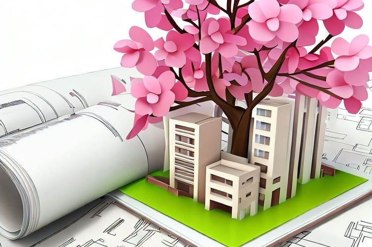 Cherry tree planning graphic