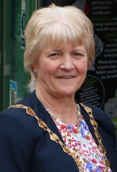 Cllr Julia Gooch proposed the motion that councillors support Anti-Bullying Week