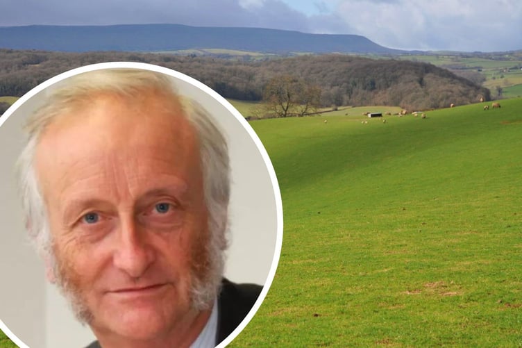 Peter Jinman, Golden Valley