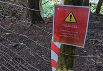Symonds Yat cliffs are closed to climbers after rockfall