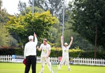Aston Ingham Cricket Club's promotion hopes hit after loss to Forest rivals Lydney