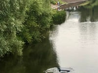 Car careers into river above Monmouth's Wye Bridge