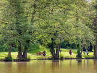 Newent Council warns against impersonators checking fishing permits
